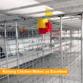 Professional Automatic Poultry Birds Drinking Water System